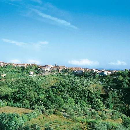 Lejlighed Gufo-11 By Interhome Podere Dottrina